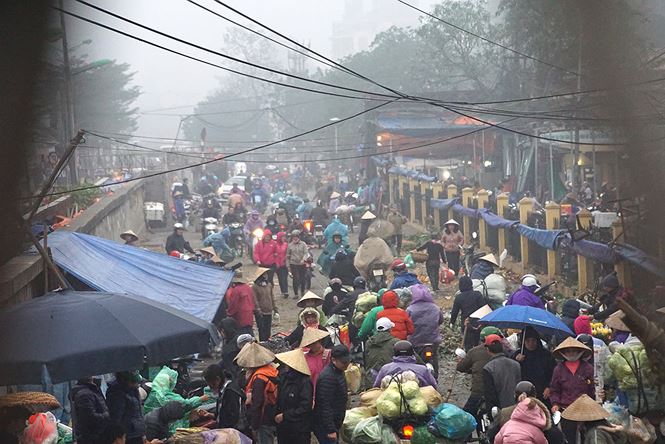 Hà Nội chìm trong sương mù và nồm ẩm